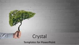  Presentation with healthy living - Beautiful slide set featuring breathing organ - eco and healthy living backdrop and a light gray colored foreground