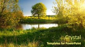  Presentation with tree river - Presentation theme enhanced with breathtaking meadow with big tree fresh green leaves location place river seret ukraine scenic image of the exotic summer view wallpaper background photo of nature discover the beauty of earth background and a tawny brown colored foreground