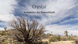  Presentation with joshua tree national park - Slides enhanced with breathtaking-photo-of-joshua-tree background and a light blue colored foreground
