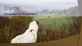  Presentation with maramures - Amazing PPT theme having breb-maramures-in-autumn-fog backdrop and a sky blue colored foreground