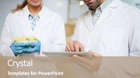  Presentation with chicks - Cool new slides with breed of chicks their characteristics backdrop and a coral colored foreground