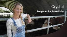  Presentation with barn - Beautiful presentation theme featuring breeder woman standing by cow barn backdrop and a dark gray colored foreground