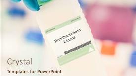  Presentation with meat production - Theme with brevibacterium-linens-bacteria-used background and a cream colored foreground