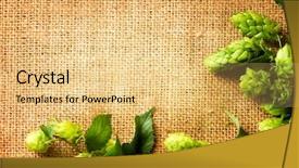  Presentation with linen - Audience pleasing slide deck consisting of breweries - ingredients for brewing beer fresh backdrop and a yellow colored foreground