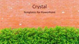  Presentation with green ivy plant hedera helix - Presentation theme consisting of brick wall with green plants background and a  colored foreground