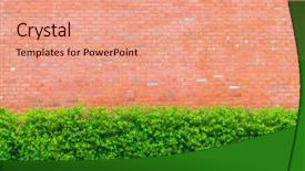  Presentation with brick wall - PPT layouts consisting of brick wall with green plants background and a  colored foreground