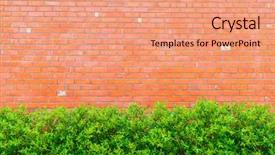  Presentation with brick wall - Theme having brick wall with green plants background and a  colored foreground