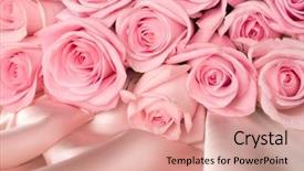  Presentation with pink silk - Colorful slides enhanced with bridal bouquet on silk backdrop and a coral colored foreground
