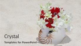  Presentation with tropical wedding - Theme having bridal bouquet with wedding rings in a shell on sand tropical beach background and a light gray colored foreground