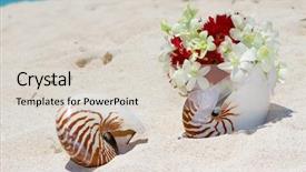  Presentation with tropical wedding - Cool new theme with bridal bouquet with wedding rings in a shell on sand tropical beach backdrop and a lemonade colored foreground