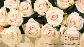  Presentation with indian bridal wear - Slides consisting of bridal-flowers background and a coral colored foreground