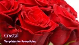  Presentation with bridal shower - Audience pleasing PPT layouts consisting of bridal shower - beautiful flowers backdrop and a wine colored foreground