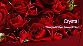  Presentation with bridal shower - Colorful slides enhanced with bridal shower - beautiful flowers backdrop and a wine colored foreground