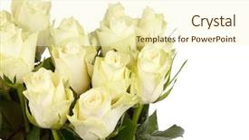  Presentation with roses - Slides with bridal shower - beautiful roses background and a cream colored foreground