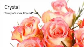  Presentation with bridal shower - Colorful slide set enhanced with bridal shower - beautiful roses backdrop and a white colored foreground