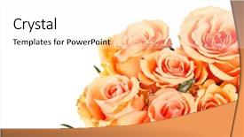  Presentation with bridal shower - Audience pleasing PPT layouts consisting of bridal shower - beautiful roses backdrop and a white colored foreground