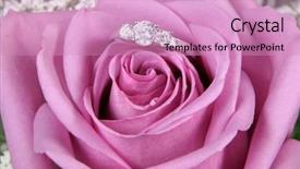  Presentation with engagement - Beautiful presentation theme featuring bridal shower - engagement ring in pink rose backdrop and a coral colored foreground