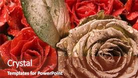  Presentation with rose gold - Audience pleasing presentation theme consisting of bridal shower - gold rose backdrop and a tawny brown colored foreground