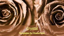  Presentation with bridal shower - Presentation featuring bridal shower - gold roses background and a tawny brown colored foreground