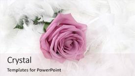  Presentation with bridal shower - PPT theme with arrow pointing at empty space for copy the internet background and a ocean colored foreground