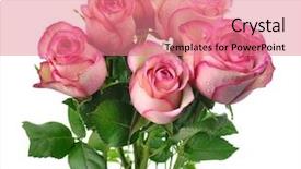  Presentation with pink roses - Slides consisting of bridal shower - pink roses background and a coral colored foreground