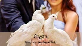 Presentation with dove - Amazing PPT theme having bride and groom holding dove in park outdoor sharpness on birds backdrop and a coral colored foreground