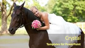  Presentation with bullfighting horse - Presentation theme having bride with horse romantical photo background and a  colored foreground