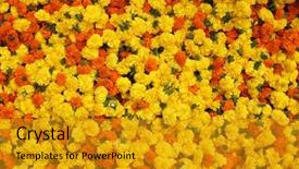  Presentation with market at jaisalmer india - Presentation theme having the golden crescent on the top of the minaret of the mosque flies fluff like a starry sky background and a light blue colored foreground