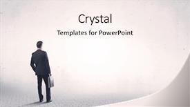  Presentation with grey - Amazing theme having brief case - serious business man standing backdrop and a sky blue colored foreground