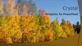 Presentation with fall foliage - Presentation theme featuring bright-and-colorful-fall-foliage background and a light blue colored foreground