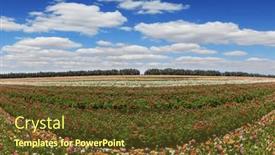  Presentation with hot spring - Presentation theme enhanced with bright-and-hot-spring-day background and a tawny brown colored foreground