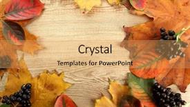  Presentation with autumn leaves - Presentation design having bright autumn leaves and wild background and a yellow colored foreground