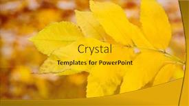  Presentation with bright yellow - Slide set featuring bright-autumn-leaves-on-yellow background and a gold colored foreground