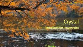  Presentation with water farming almond trees - Audience pleasing PPT theme consisting of bright autumn trees by water backdrop and a tawny brown colored foreground
