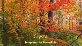  Presentation with river forest - Presentation theme featuring bright-autumn-trees-in-black background and a tawny brown colored foreground