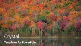  Presentation with rural - PPT theme enhanced with bright-autumn-trees background and a tawny brown colored foreground