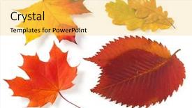  Presentation with fall leaves border autumn - Theme featuring bright autumnal leaves from different background and a yellow colored foreground