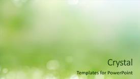  Presentation with abstract spring green - Presentation theme consisting of bright beautiful flower - spring abstract background background and a  colored foreground