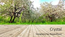  Presentation with light rays - Amazing presentation theme having bright beautiful light blooming rural apple trees alley in sunny spring park over blue sky with first dawn rays on the wall inside room interior with frame textured wooden panel floor background backdrop and a lemonade colored foreground