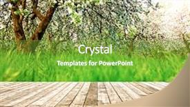  Presentation with light rays - Amazing PPT layouts having bright beautiful light blooming rural apple trees alley in sunny spring park over blue sky with first dawn rays on the wall inside room interior with frame textured wooden panel floor background backdrop and a tawny brown colored foreground