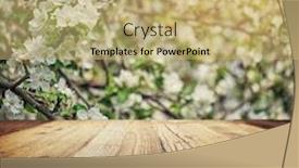  Presentation with light rays - Audience pleasing PPT theme consisting of bright-beautiful-light-blooming-rural backdrop and a yellow colored foreground