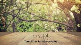  Presentation with light rays - PPT theme enhanced with bright-beautiful-light-blooming-rural background and a coral colored foreground