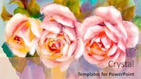  Presentation with canvas - Theme enhanced with bright-bouquet-of-pink-roses background and a coral colored foreground