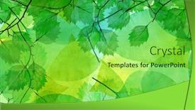  Presentation with skeletons - Beautiful slides featuring bright-color-leaf-skeletons-background backdrop and a seafoam green colored foreground