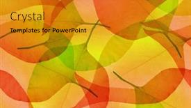  Presentation with skeletons - Slide set consisting of bright-color-leaf-skeletons-seamless background and a gold colored foreground