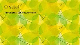  Presentation with skeletons - Presentation theme having bright-color-leaf-skeletons-seamless background and a gold colored foreground