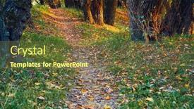  Presentation with path sunlight - Presentation theme featuring bright-colorful-autumn-forest-landscape background and a tawny brown colored foreground