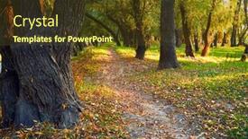  Presentation with path sunlight - Audience pleasing presentation consisting of bright-colorful-autumn-forest-landscape backdrop and a tawny brown colored foreground
