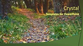  Presentation with path sunlight - Amazing PPT layouts having bright-colorful-autumn-forest-landscape backdrop and a tawny brown colored foreground