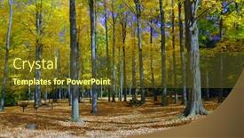  Presentation with season - 